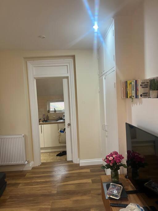 Large Modern Studio Flat Londres Exterior foto